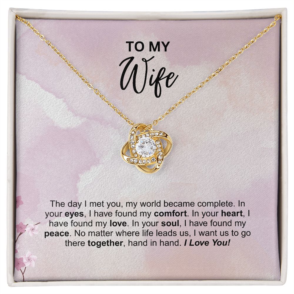 Wife - The day I met you