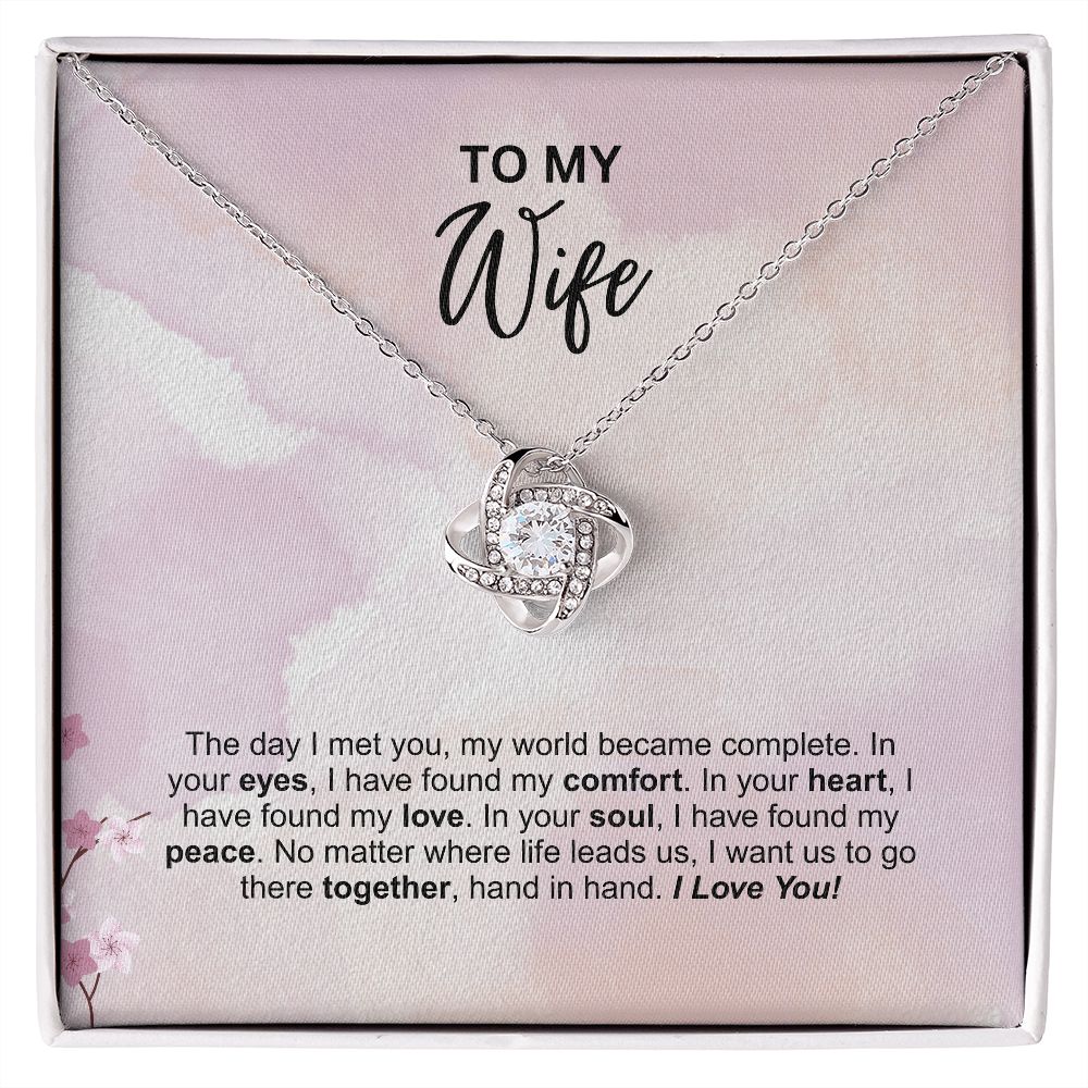 Wife - The day I met you