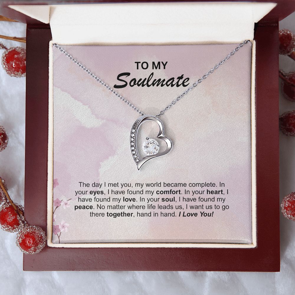 Soulmate - The day I met you
