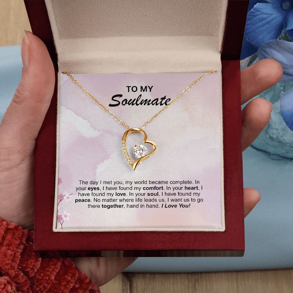 Soulmate - The day I met you