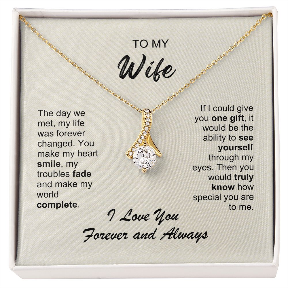 Wife - The day we met