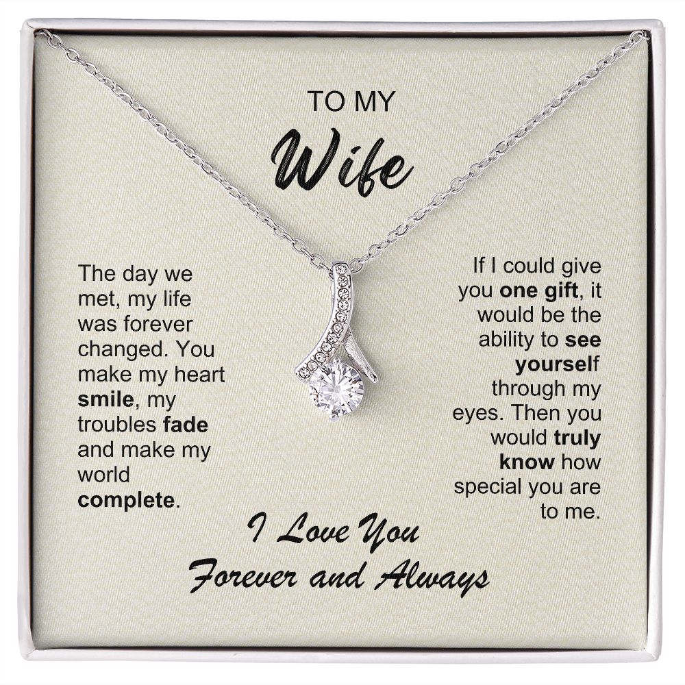 Wife - The day we met