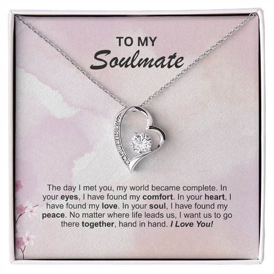 Soulmate - The day I met you
