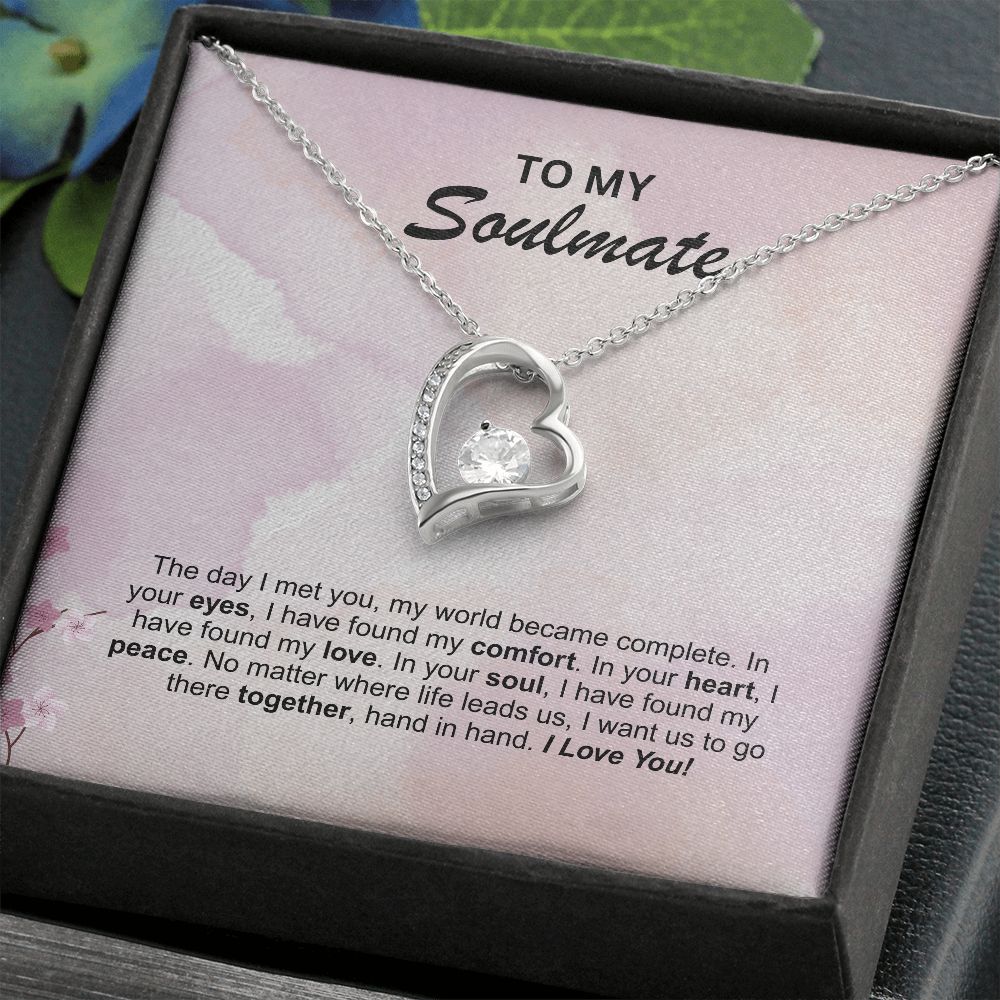 Soulmate - The day I met you