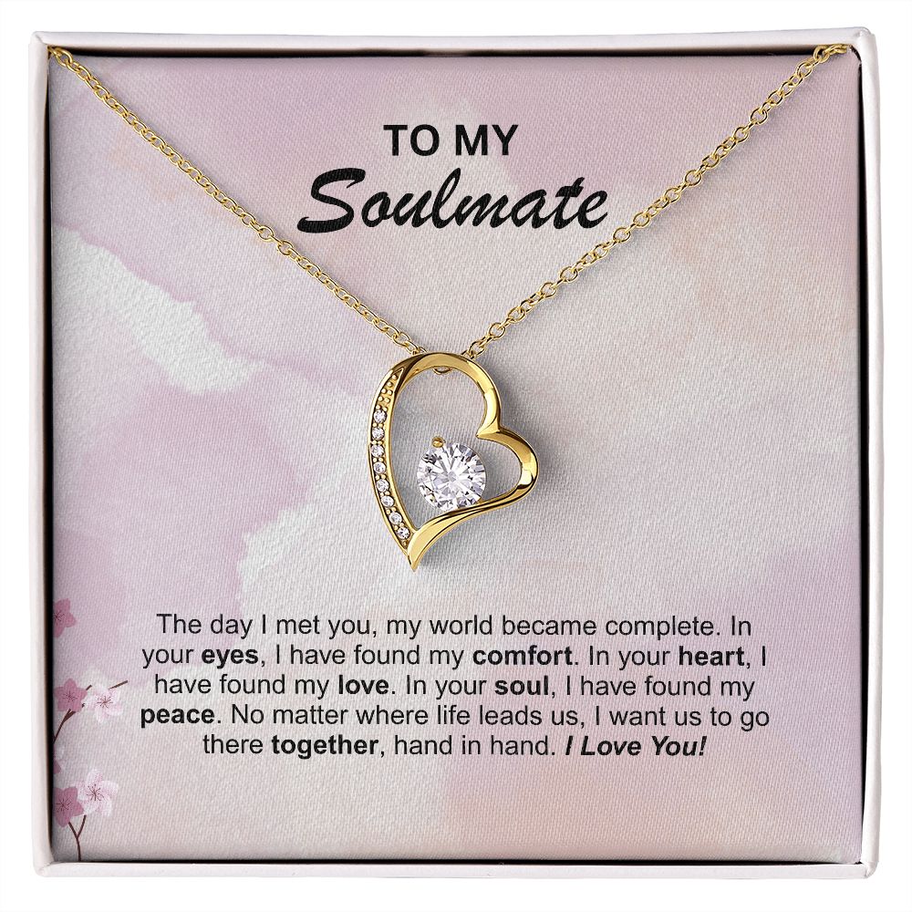 Soulmate - The day I met you