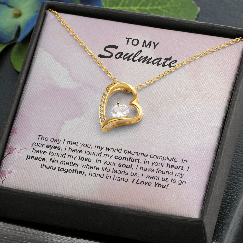 Soulmate - The day I met you